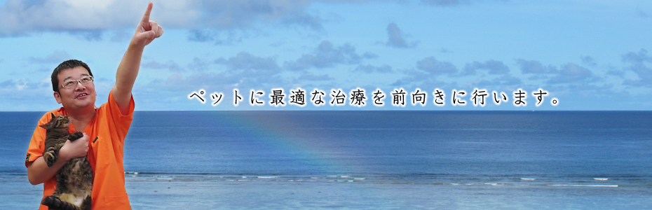 川越市のマリー動物病院は、夜間救急診療として深夜23時まで対応します。土日診療有。