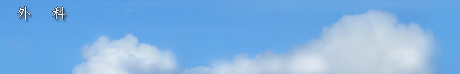 動物病院の外科手術治療