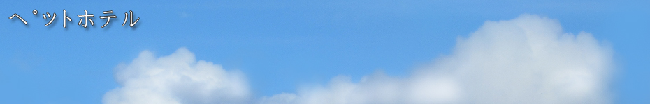 ペットホテル